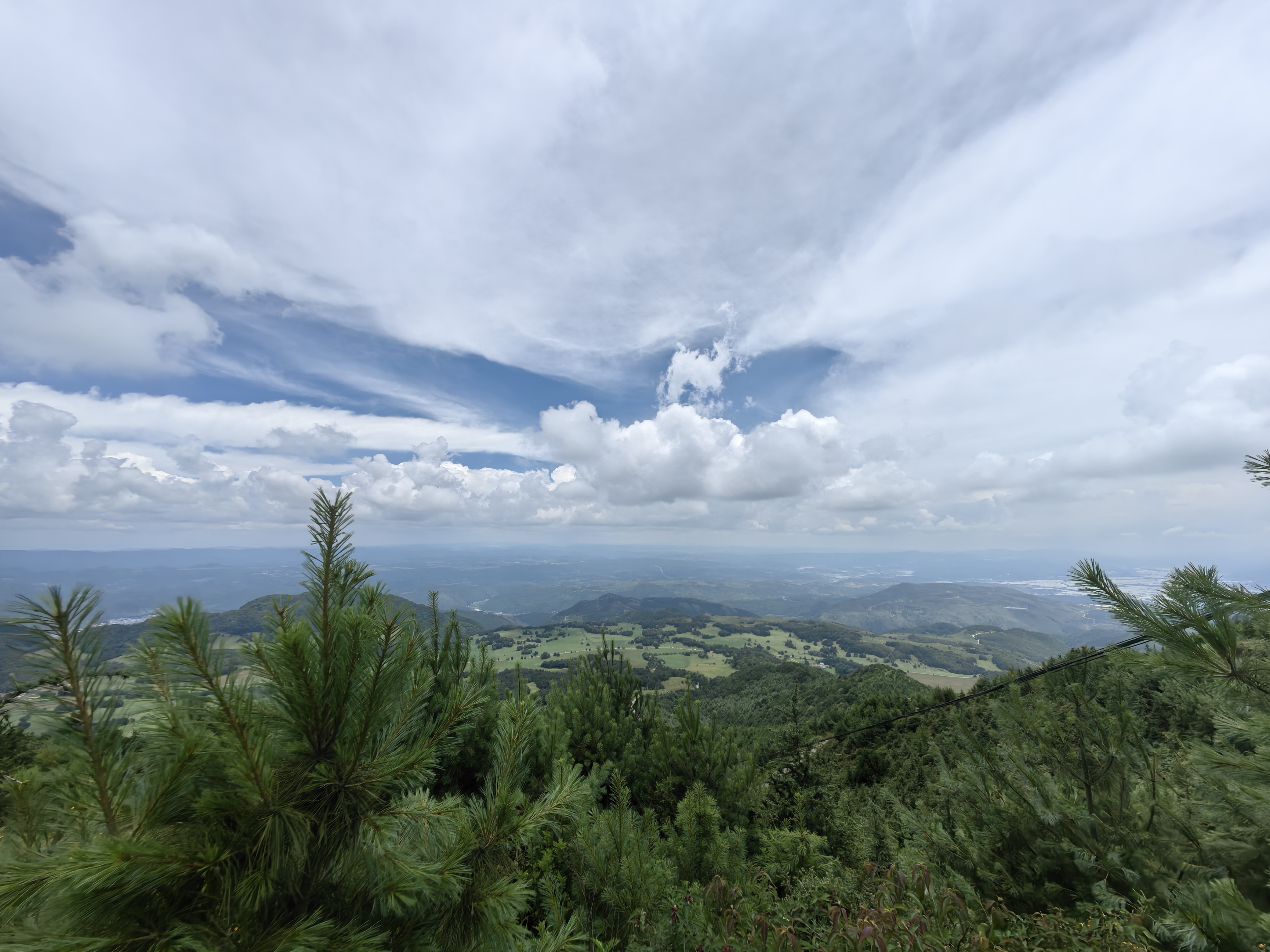 关于蔚山现代客场不敌埃尔切，遭遇背水一战的信息